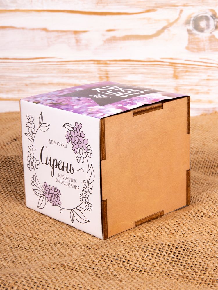 Набор для выращивания «Экокуб Lite», сирень — изображение 10