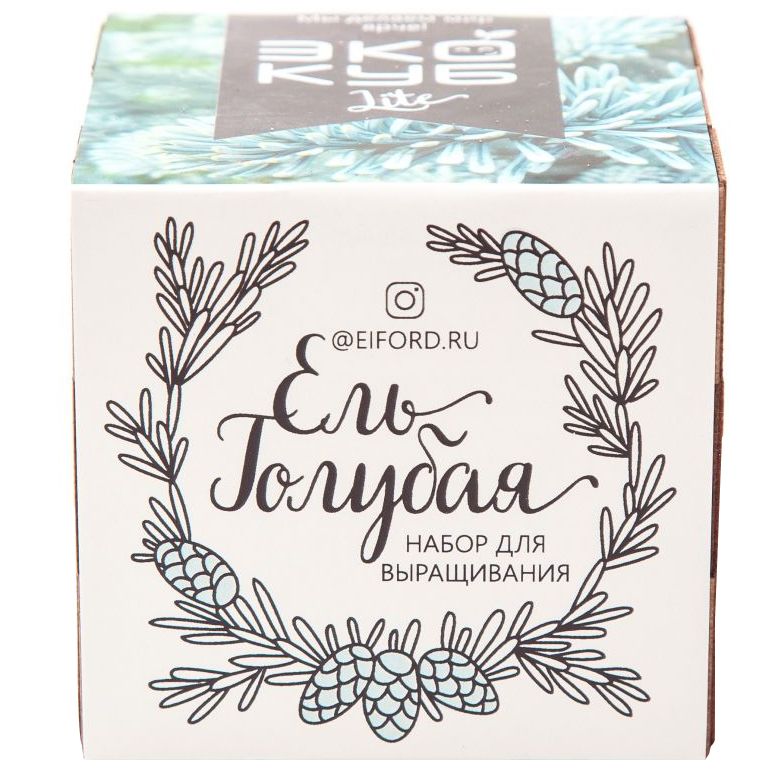 Набор для выращивания «Экокуб Lite», ель голубая — изображение 3