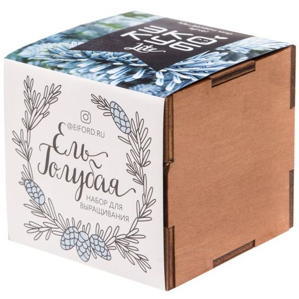 Набор для выращивания «Экокуб Lite», ель голубая — изображение 2