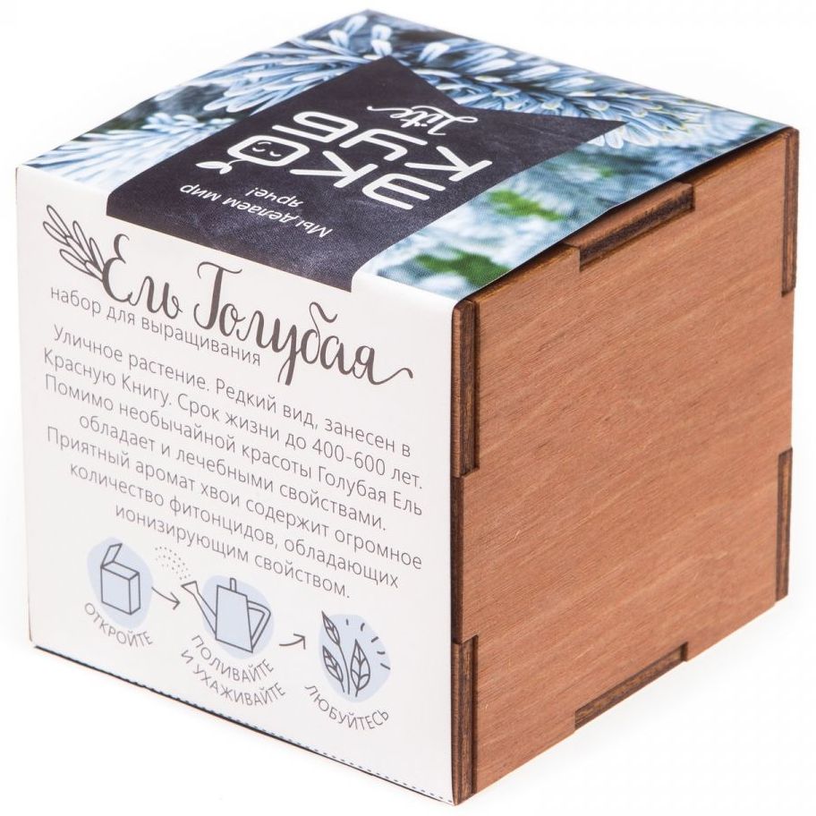 Набор для выращивания «Экокуб Lite», ель голубая — изображение 6