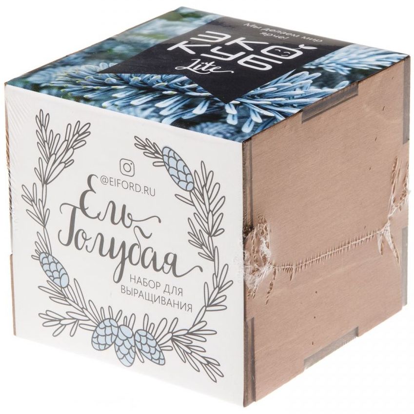Набор для выращивания «Экокуб Lite», ель голубая — изображение 8