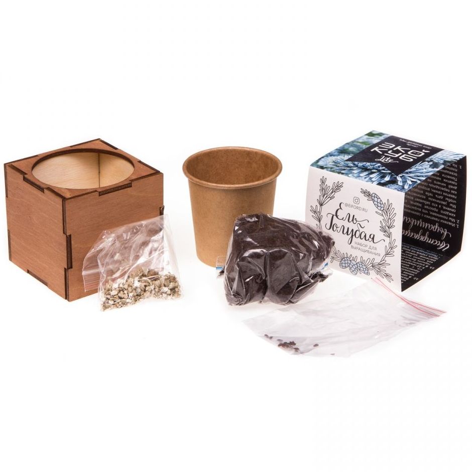 Набор для выращивания «Экокуб Lite», ель голубая — изображение 7