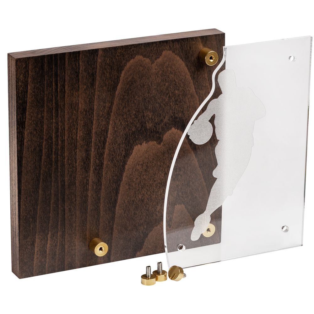 Награда Celebration, баскетбол — изображение 3