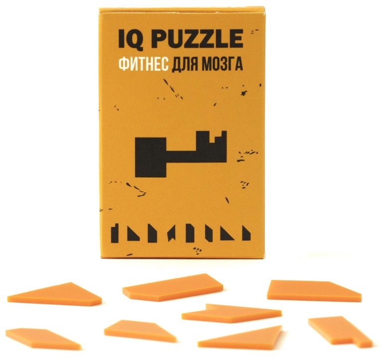 Головоломка IQ Puzzle, ключ — изображение 2