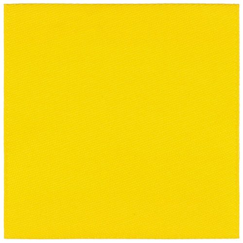 Лейбл тканевый Epsilon, L, желтый