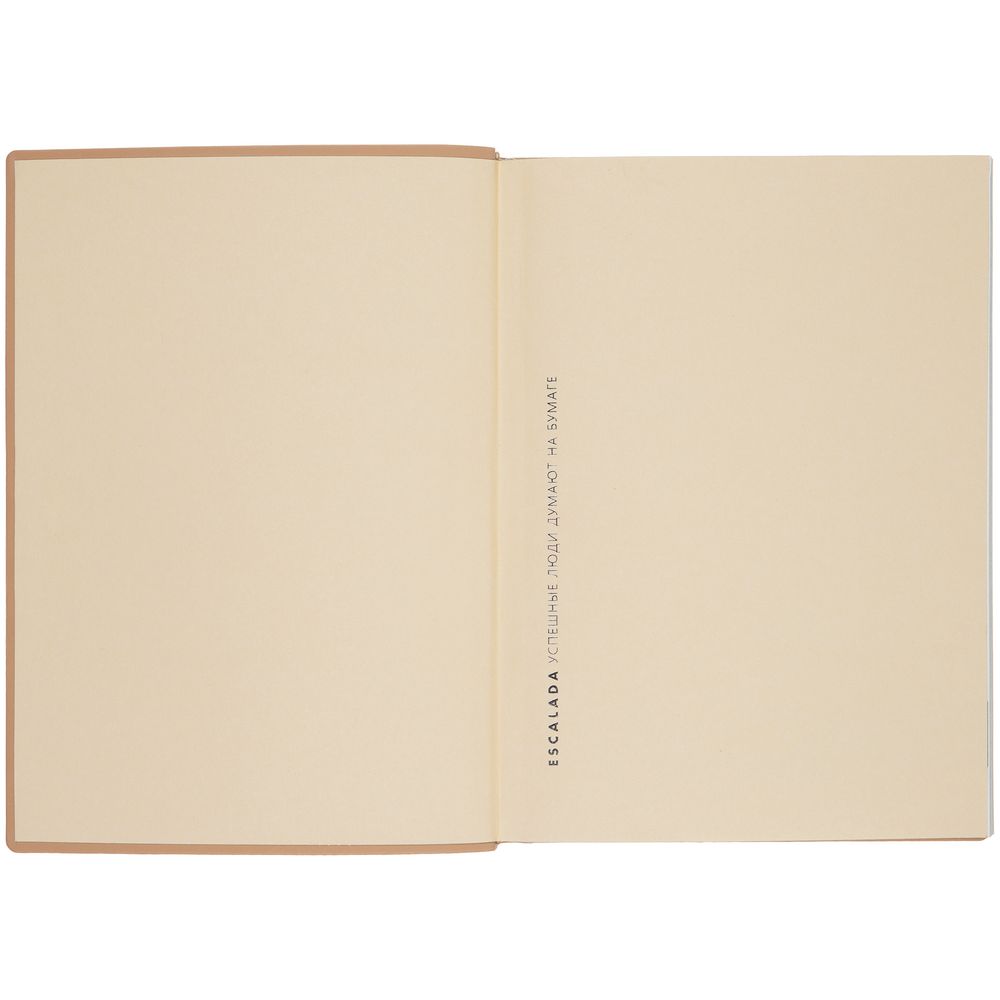 Ежедневник Anaconda, недатированный, золотистый — изображение 8