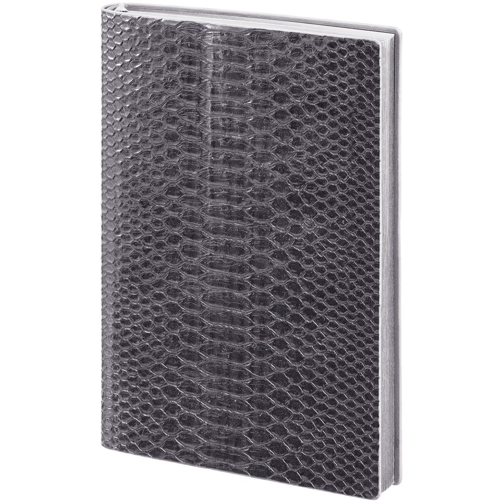 Ежедневник Anaconda, недатированный, серебристый — изображение 4