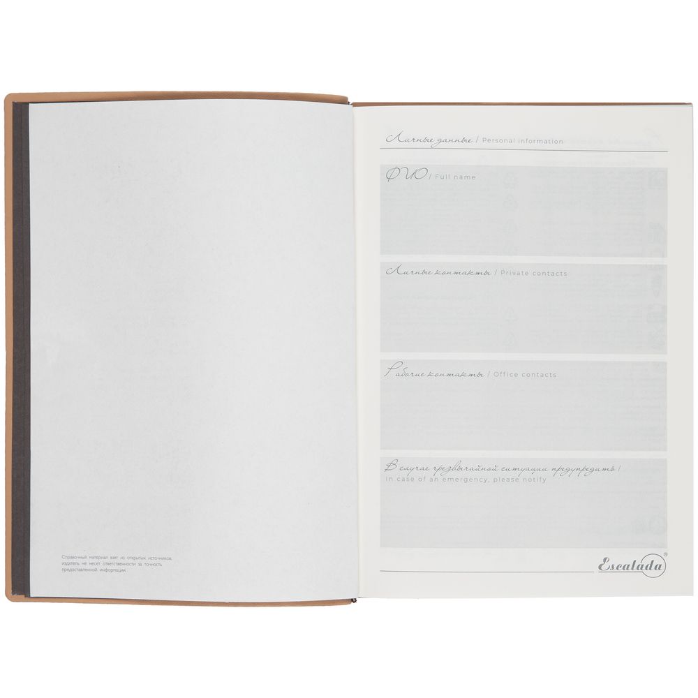 Ежедневник Anaconda, недатированный, серебристый — изображение 9