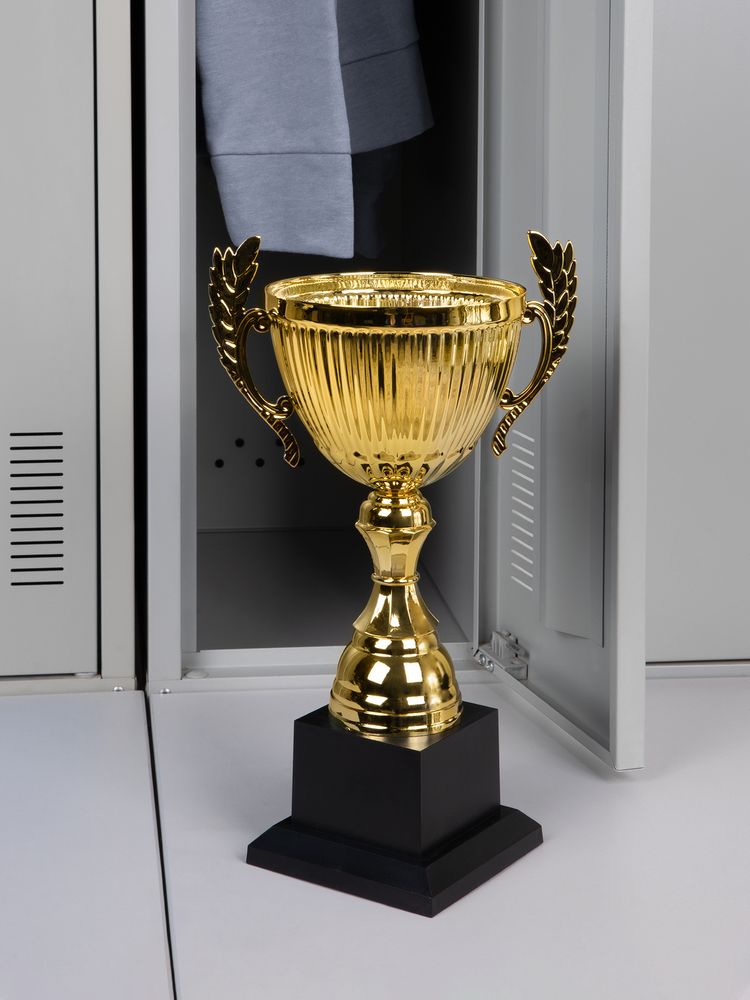 Кубок Spica, большой, золотистый — изображение 6