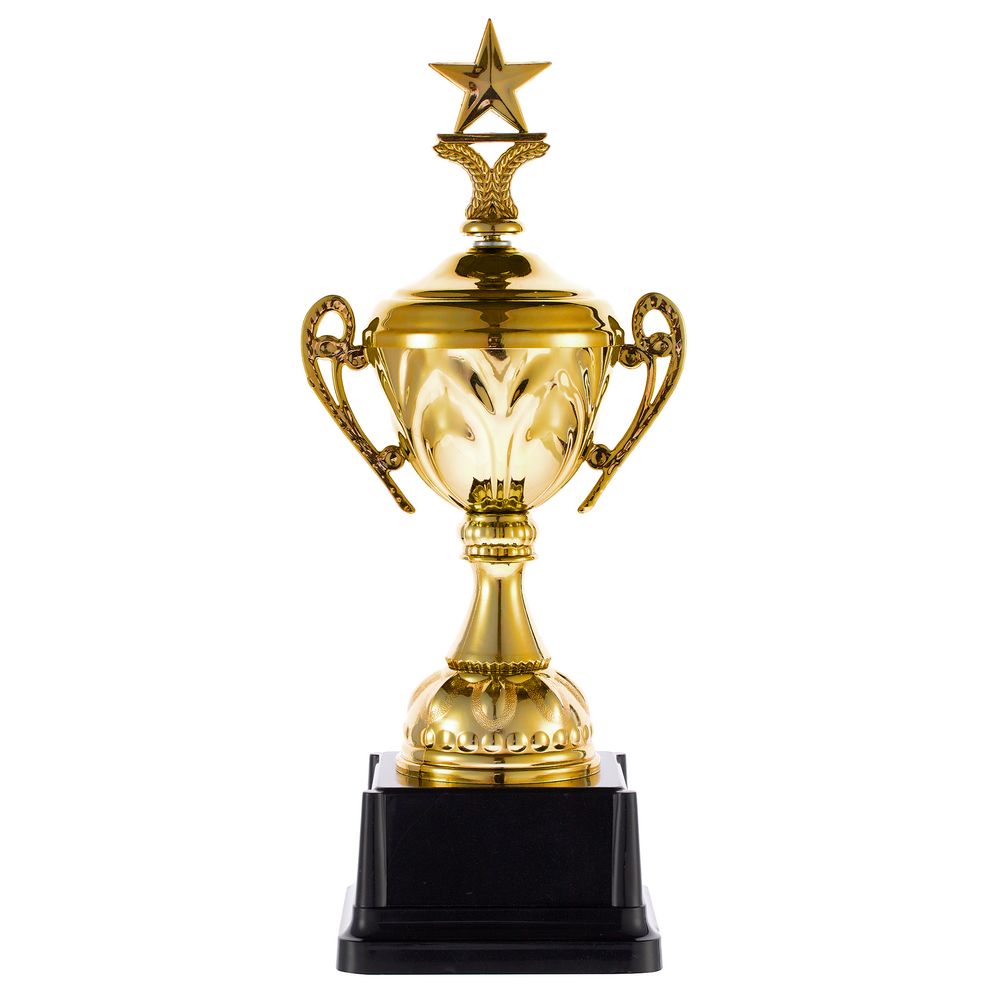 Кубок Top Star, золотистый — изображение 2