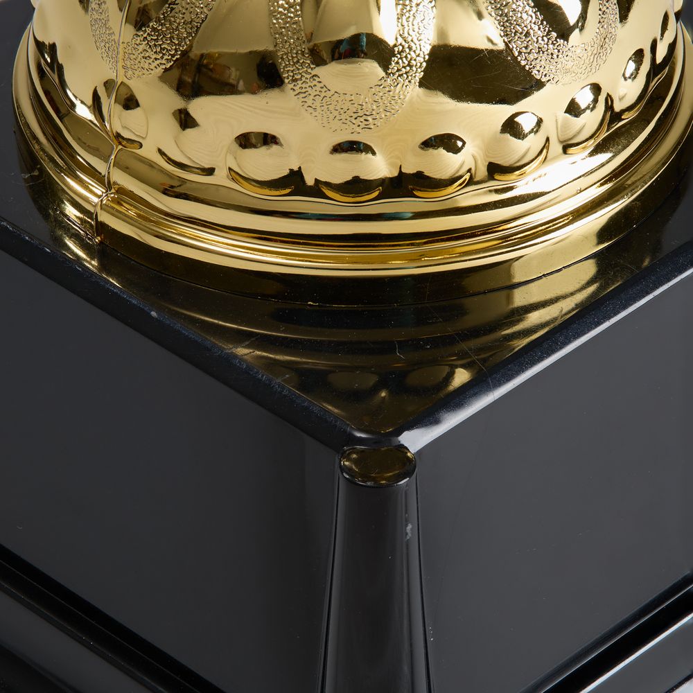 Кубок Top Star, золотистый — изображение 4