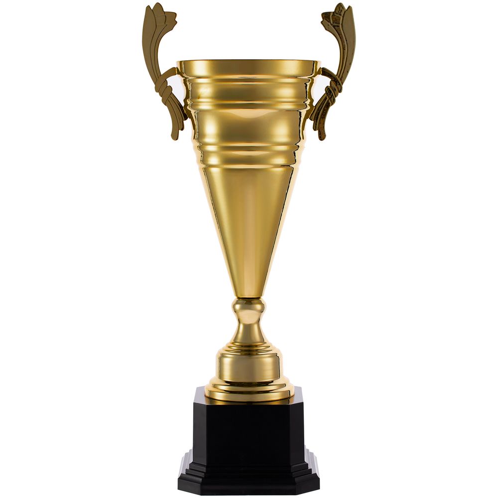 Кубок Recordsman, золотистый — изображение 2