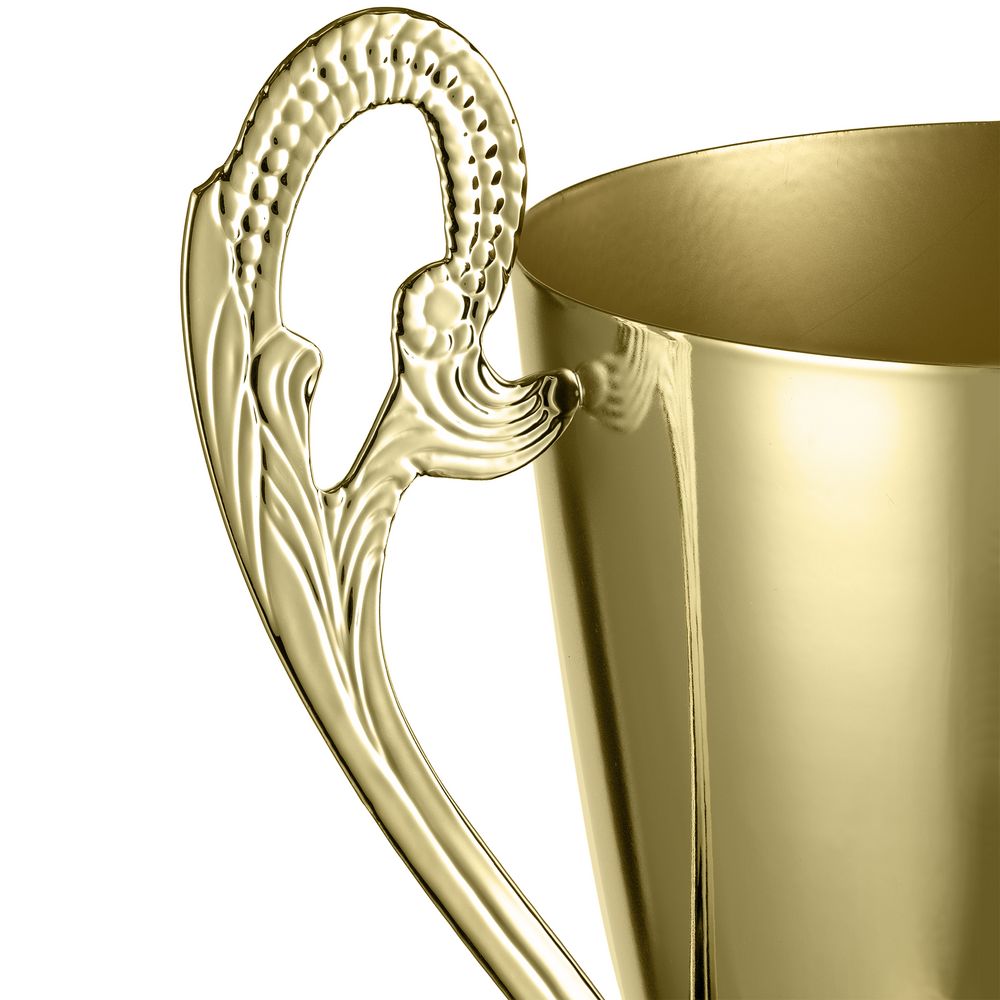 Кубок Guildford, золотистый — изображение 4