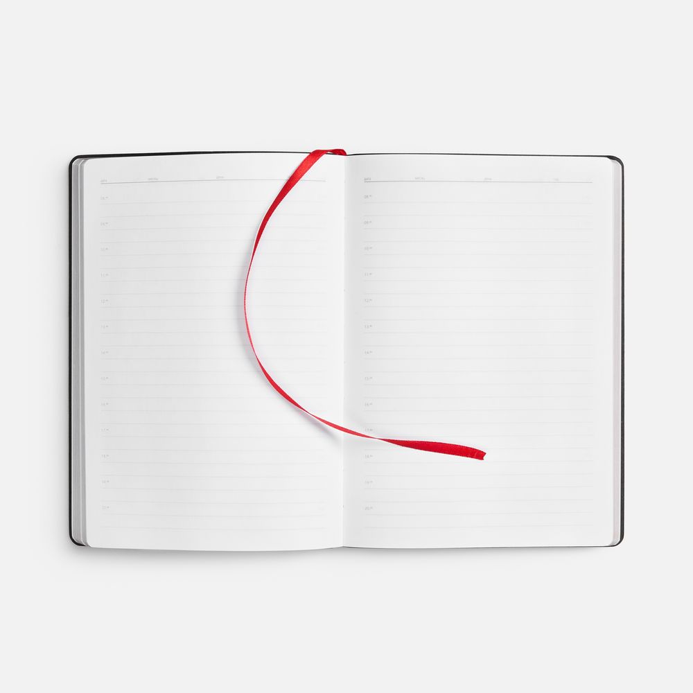 Ежедневник Nebraska Flex, недатированный, красный с серебристым — изображение 9