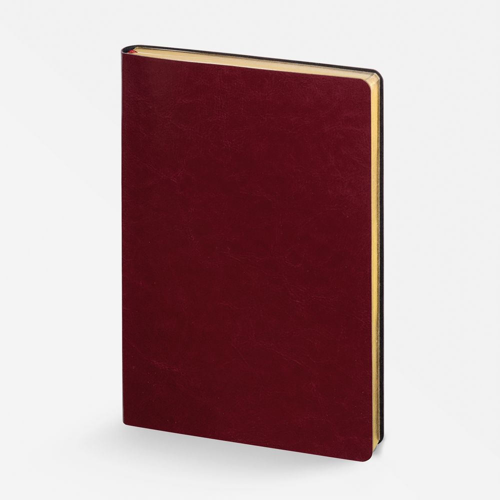 Ежедневник Nebraska Flex, недатированный, бордовый с золотистым — изображение 2