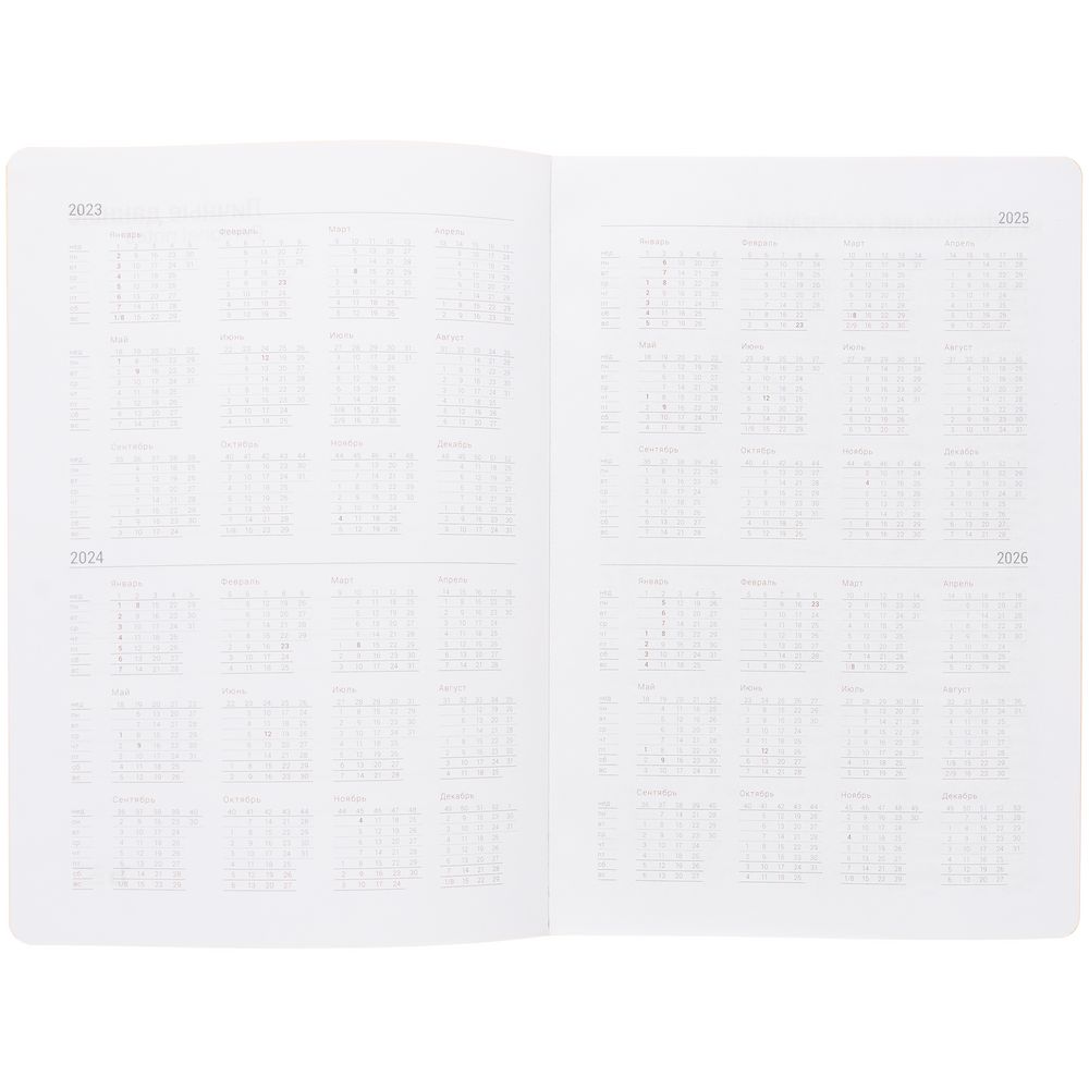 Ежедневник New Factor Metal, оранжевый — изображение 6