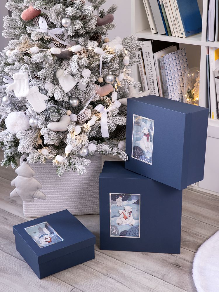 Коробка The Blue Bear, M — изображение 4