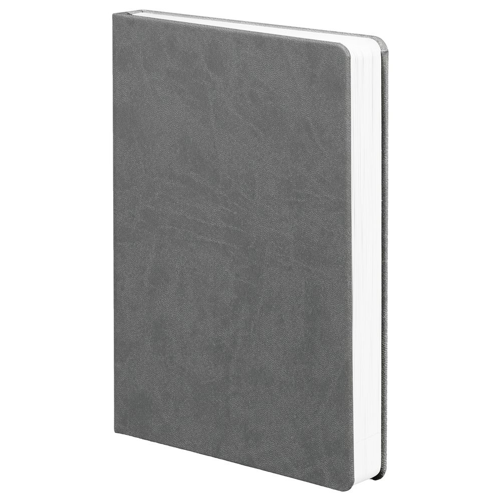 Ежедневник Basis, датированный, темно-серый