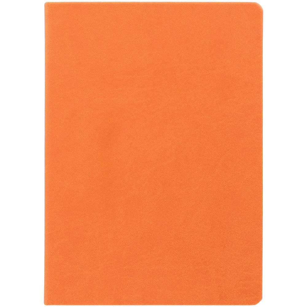 Ежедневник Basis, датированный, оранжевый — изображение 3