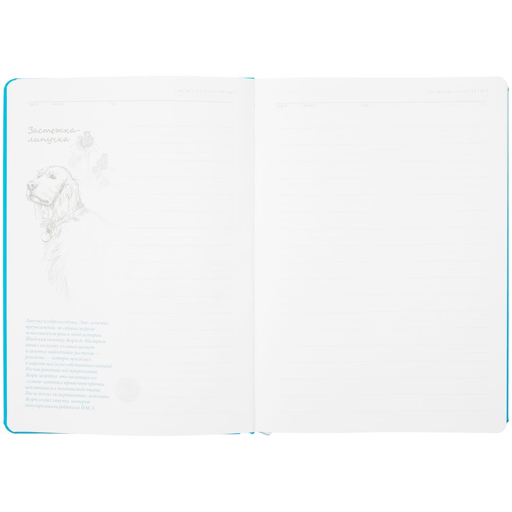 Ежедневник «История изобретений», недатированный, голубой — изображение 9