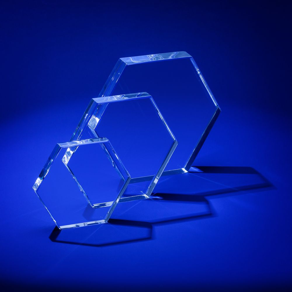 Награда Bee, малая — изображение 4